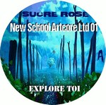 New School Artcore Ltd 01